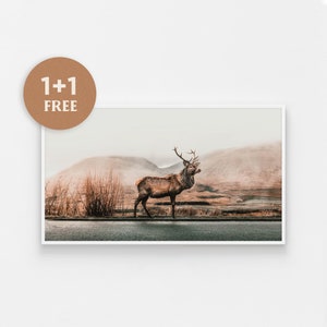 Samsung Frame TV Art, Modern Farmhouse, Winter Art, Forest Elk, Woods Wildlife, Fall Nature Tv Art, Frame TV, Cabin TV Art, Lake Wilderness