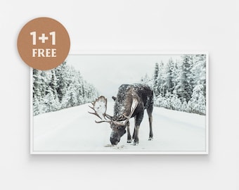 Samsung Frame Tv Art, Digital Christmas Art, Winter Art, Moose in Snow, Winter Nature Tv Art, Samsung Art TV, Digital Download, Snowy Road