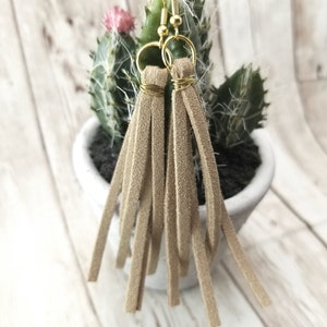 May include: A pair of brown suede tassel earrings with gold-toned hoops and wire wraps. The earrings are hanging from a potted cactus.