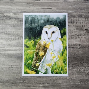 Owl watercolor art print 5x7&quot;