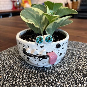 May include: A white ceramic planter with black speckles, featuring a sculpted face with two protruding blue-spotted eyes, a black mouth with white teeth, and a pink tongue sticking out, containing a variegated green and cream-colored plant.