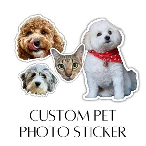 Custom Dog Photo Sticker, Dog Lovers Pet Stickers, Dog Picture Sticker, Animal Lover Sticker, Dog Mom Sticker image 1