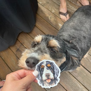 Custom Dog/Pet Portrait sticker, Includes 4 Stickers Dog Stickers, Pet Stickers, Waterproof Sticker, Dog Face Sticker, Custom Dog sticker image 4