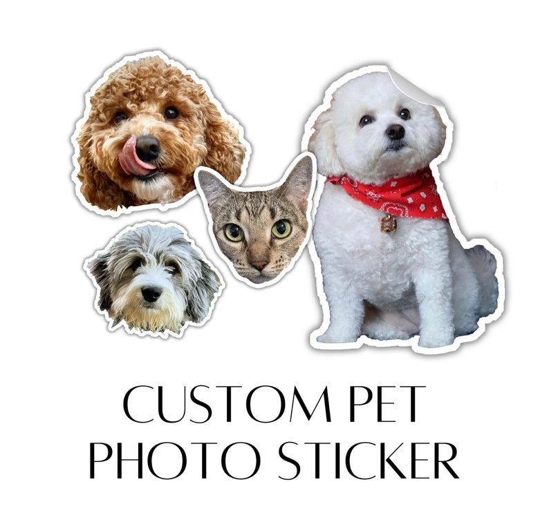 Custom Dog Photo Sticker, Dog Lovers Pet Stickers, Dog Picture Sticker, Animal Lover Sticker, Dog Mom Sticker image 1