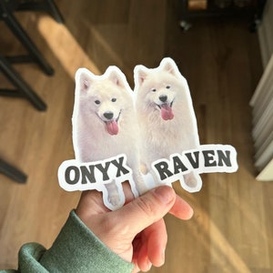 Custom Dog Photo Sticker, Dog Lovers Pet Stickers, Dog Picture Sticker, Animal Lover Sticker, Dog Mom Sticker image 2