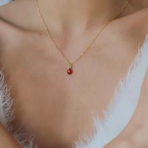 14K Solid Gold Ladybug Necklace, Dainty Animal Jewelry ,Minimalist Ladybug Necklaces for Women, Mother’s Day Gift for Mom