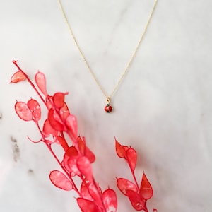 K&ouml;nnte beinhalten: Eine zarte goldene Kettenkette mit einem kleinen roten Marienk&auml;fer-Anh&auml;nger. Die Kette liegt auf einer wei&szlig;en Marmorfl&auml;che mit einem Zweig roter Bl&auml;tter.
