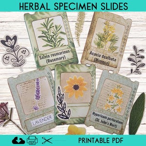 Kit imprimable de journal indésirable de diapositives de spécimens de fines herbes, éphémères botaniques vintage, étiquettes de faux microscope, digikit de pages de scrapbooking de nature
