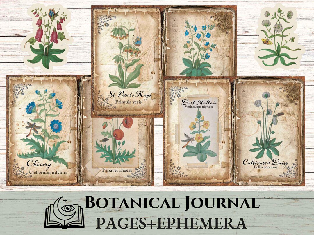 Flower Studies Junk Journal Kit, Vintage Floral Printable Pages ...