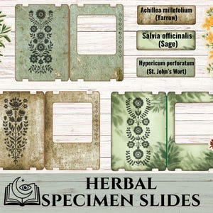 May include: A collection of herbal specimen slides featuring rectangular frames with floral patterns, botanical illustrations of yarrow, sage, and St. John's Wort, and labels with the text Achillea millefolium, Salvia officinalis, and Hypericum perforatum.