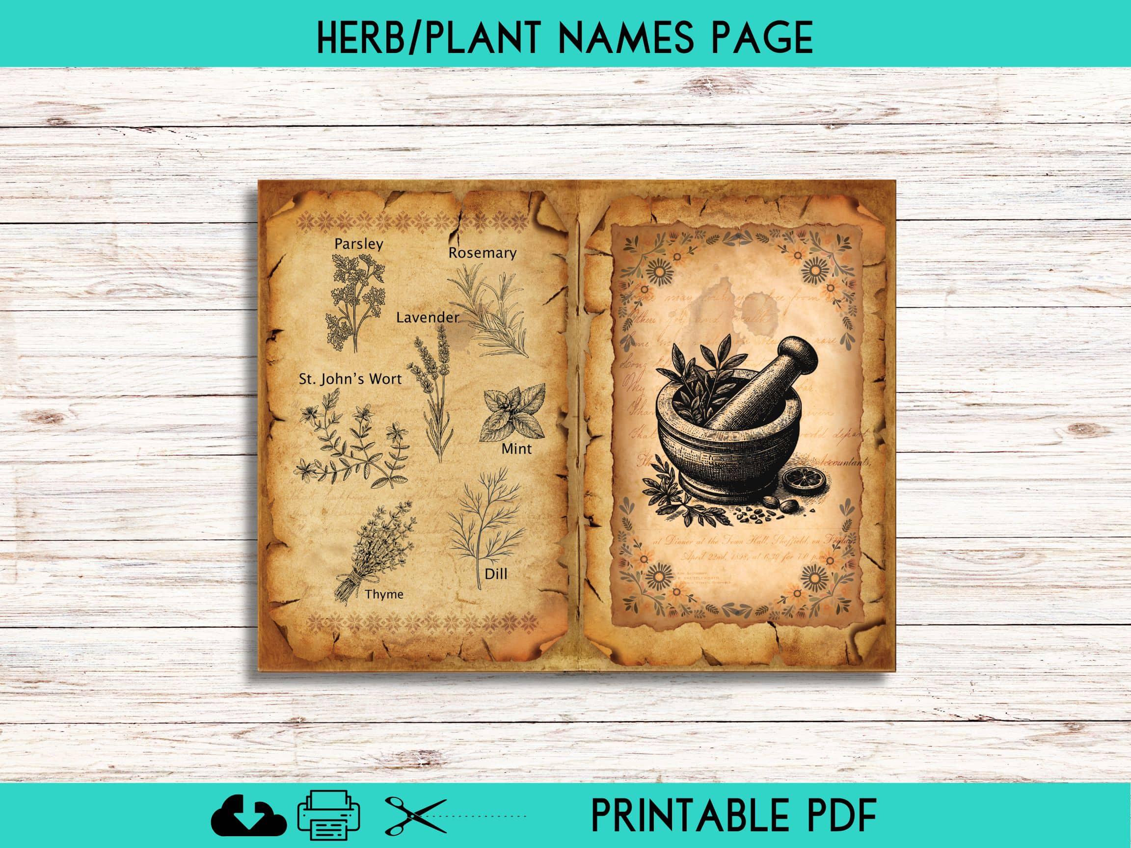 フォークハーバリストのジャンクジャーナルページ、ハーブの印刷可能な