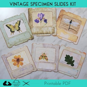 Printable Vintage Specimen Slides Kit