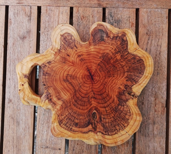 Cutting Board in Yew Standing Wood Slice. Etsy