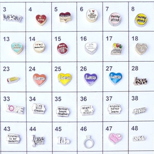 Floating charms for living memory lockets*SHIPS FREE*