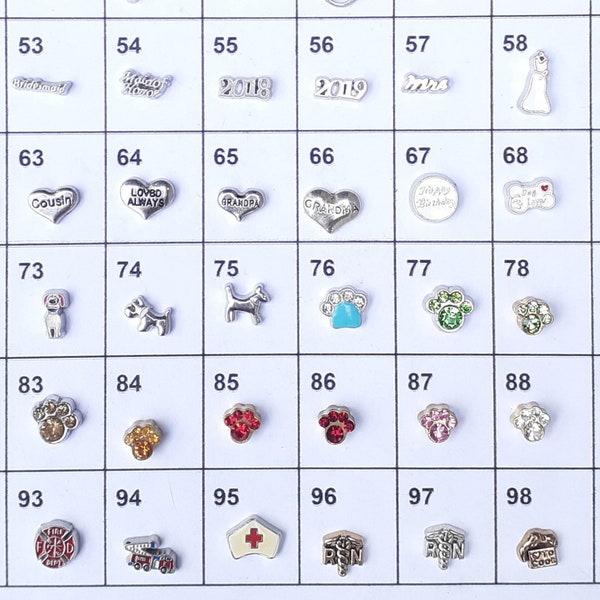 Floating charms for living memory lockets*SHIPS FREE*