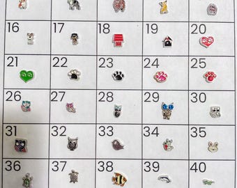 Floating charms for living memory lockets*SHIPS FREE*