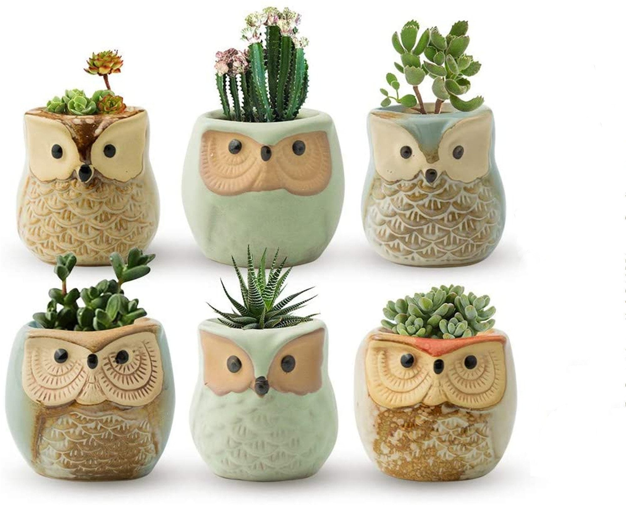 Etsy Pots For Plants - hom2p2i