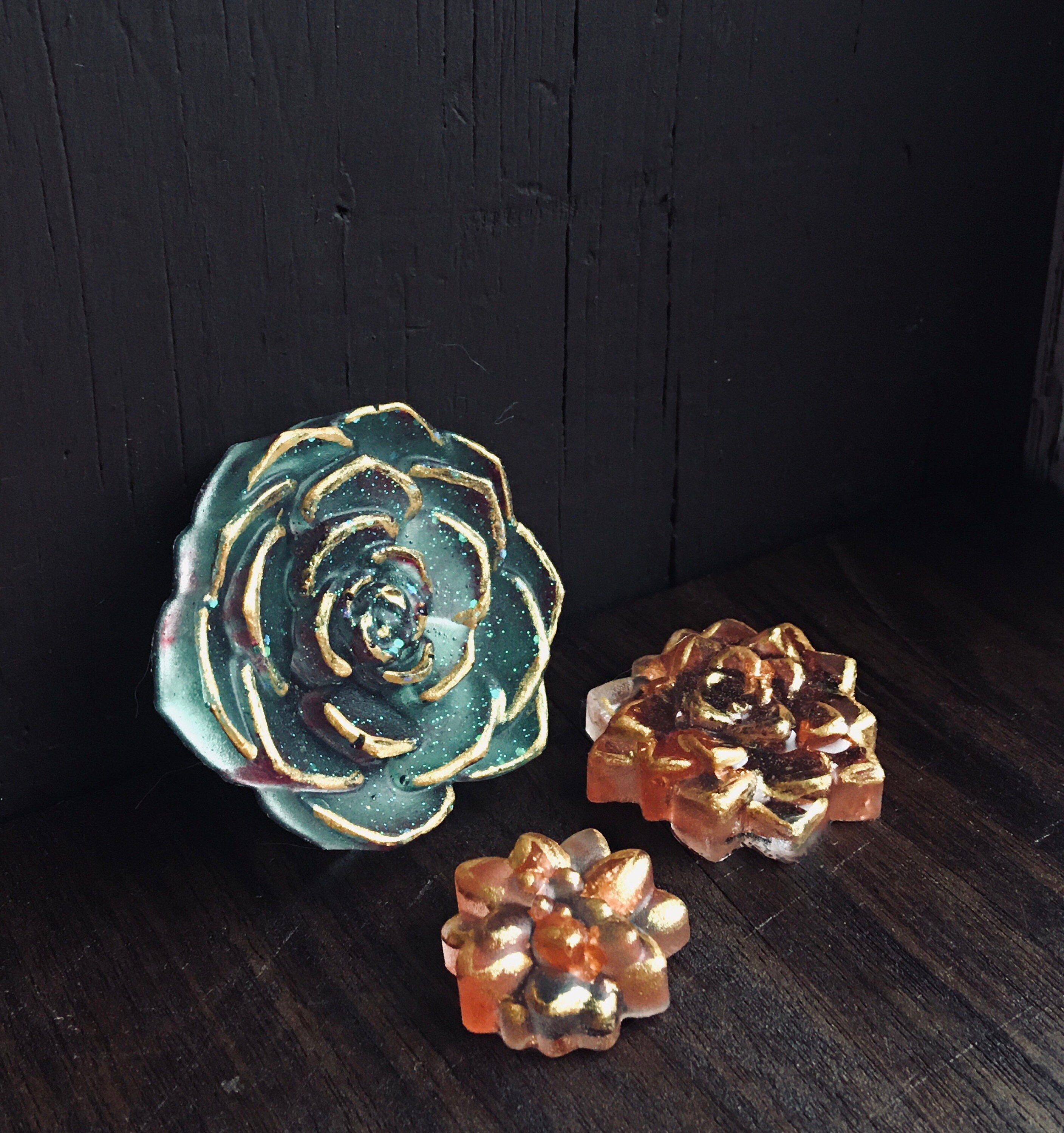 Succulent fridge plants Pack of three Etsy