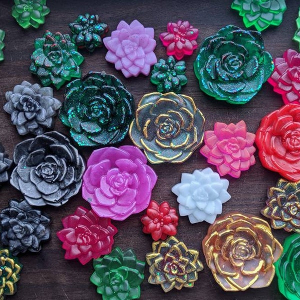 Succulent Etsy