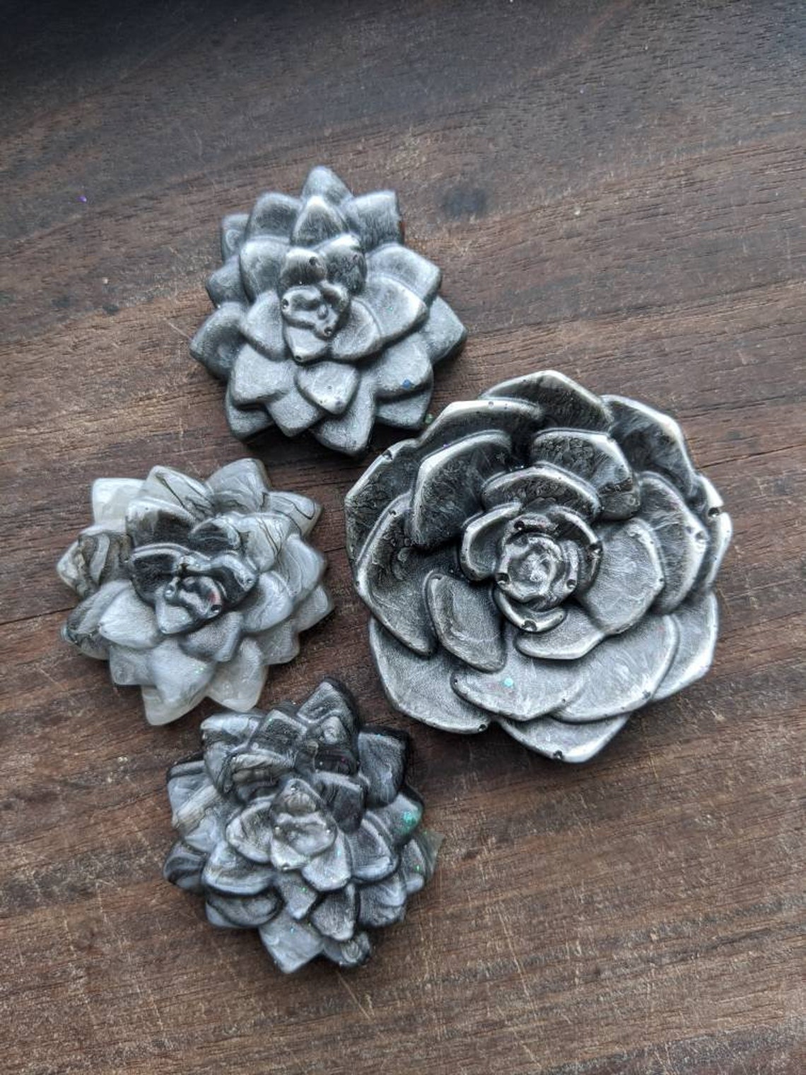 Succulent fridge home decor kitchen Etsy