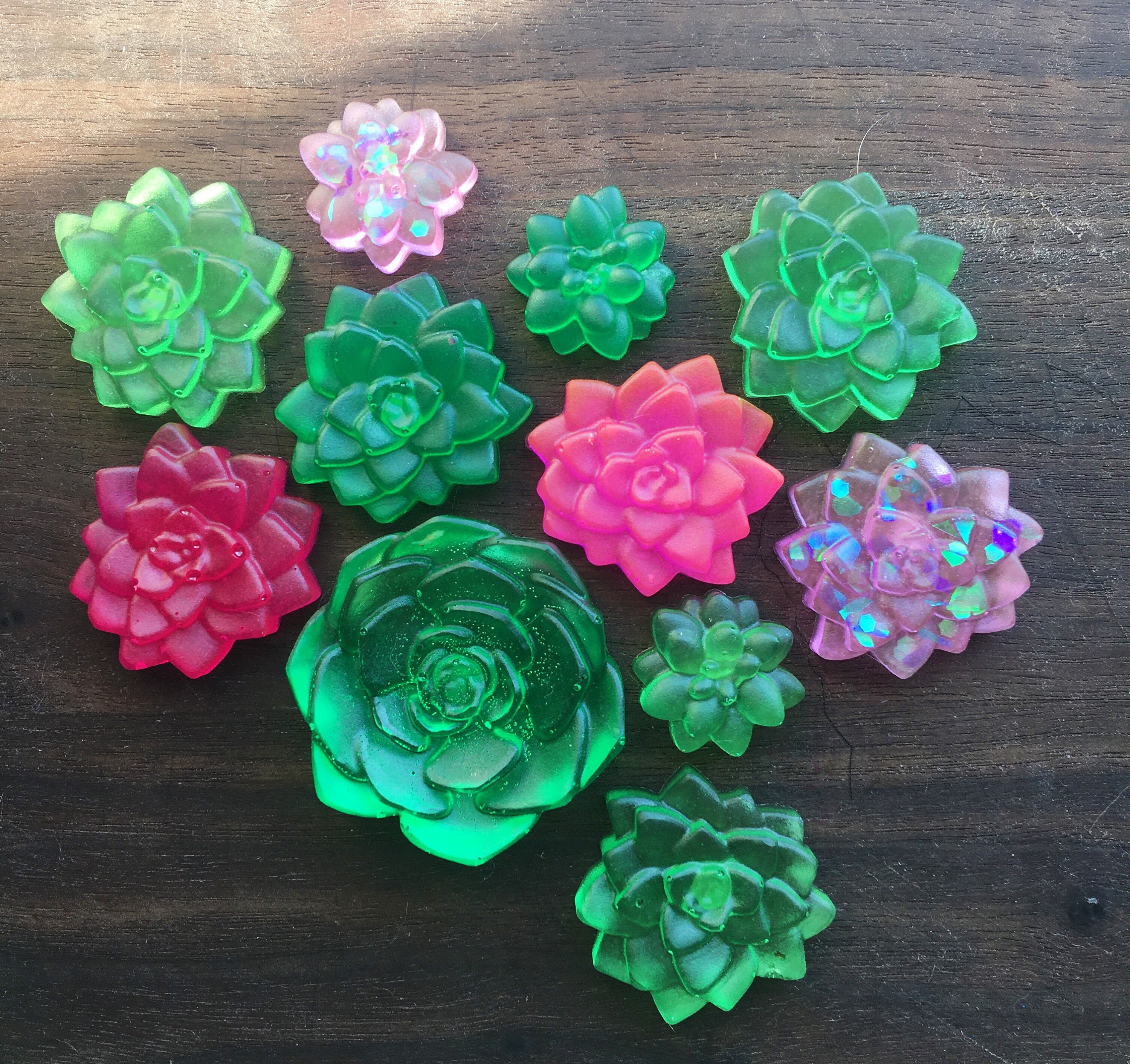 Succulent Fridge Kitchen Decor Home Decor Etsy