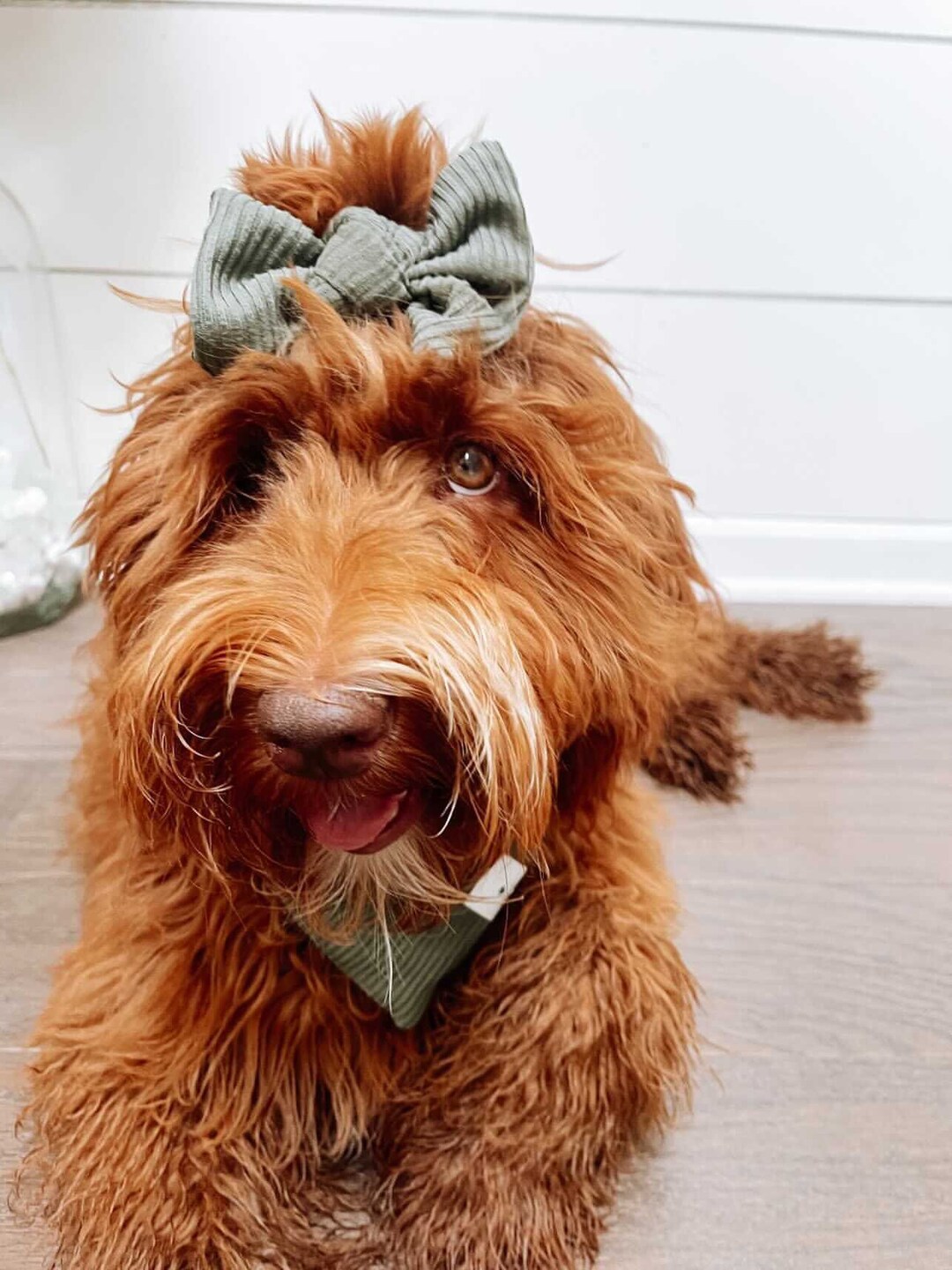 KNIT BOWS dog Bows Cotton Dog Clips girl Dog Bow Fall Dog Bows Hair