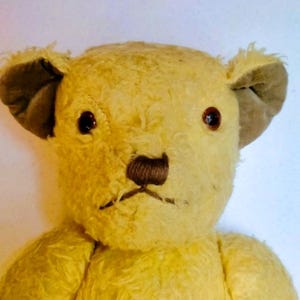Può includere: Un orsacchiotto di peluche con pelliccia giallo chiaro, naso e bocca ricamati in marrone scuro e occhi di vetro marrone scuro. L'orso presenta orecchie arrotondate con tessuto interno marrone scuro, una superficie pelosa e una cucitura.