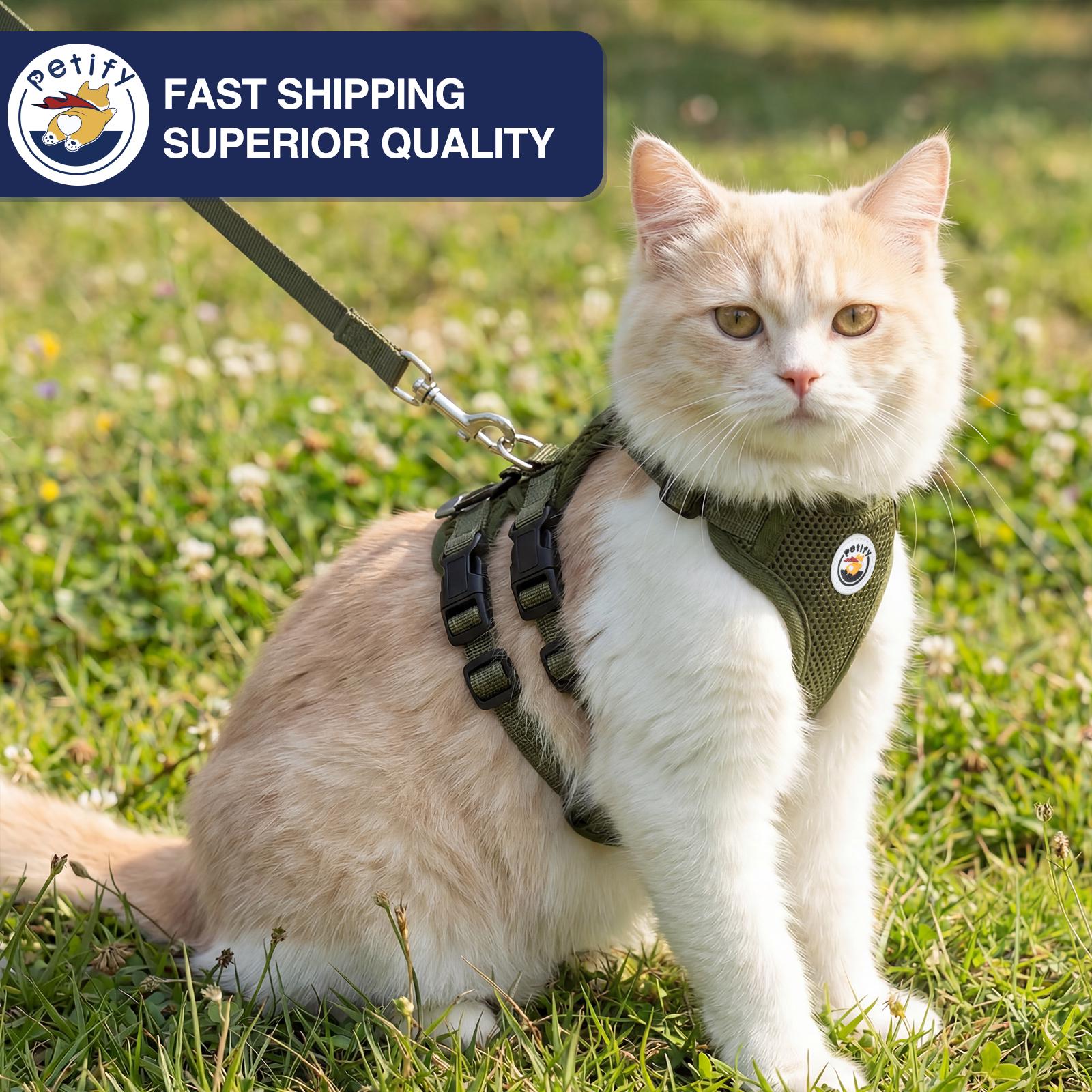 Escape Proof Cat Harness and Leash – Adjustable Kitten Vest, Soft Mesh ...
