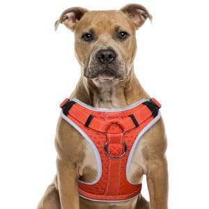 Dog Harness No Pull with 2 Leash Clips, Adjustable Soft Padded, Reflective Oxford No Choke Pet Vest with Easy Control Handle