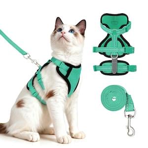 Escape Proof Cat Harness and Leash – Soft Mesh, Reflective Strips