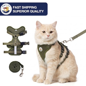 May include: An olive green cat harness and leash set. The harness is made of mesh material with adjustable straps and buckles. The leash is a matching olive green color. A light-colored cat is wearing the harness.