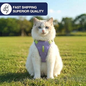 May include: A fluffy white cat with blue eyes wearing a purple and green harness sits on green grass. The cat is in a grassy field with trees in the background. Text in the upper left corner reads "FAST SHIPPING SUPERIOR QUALITY."