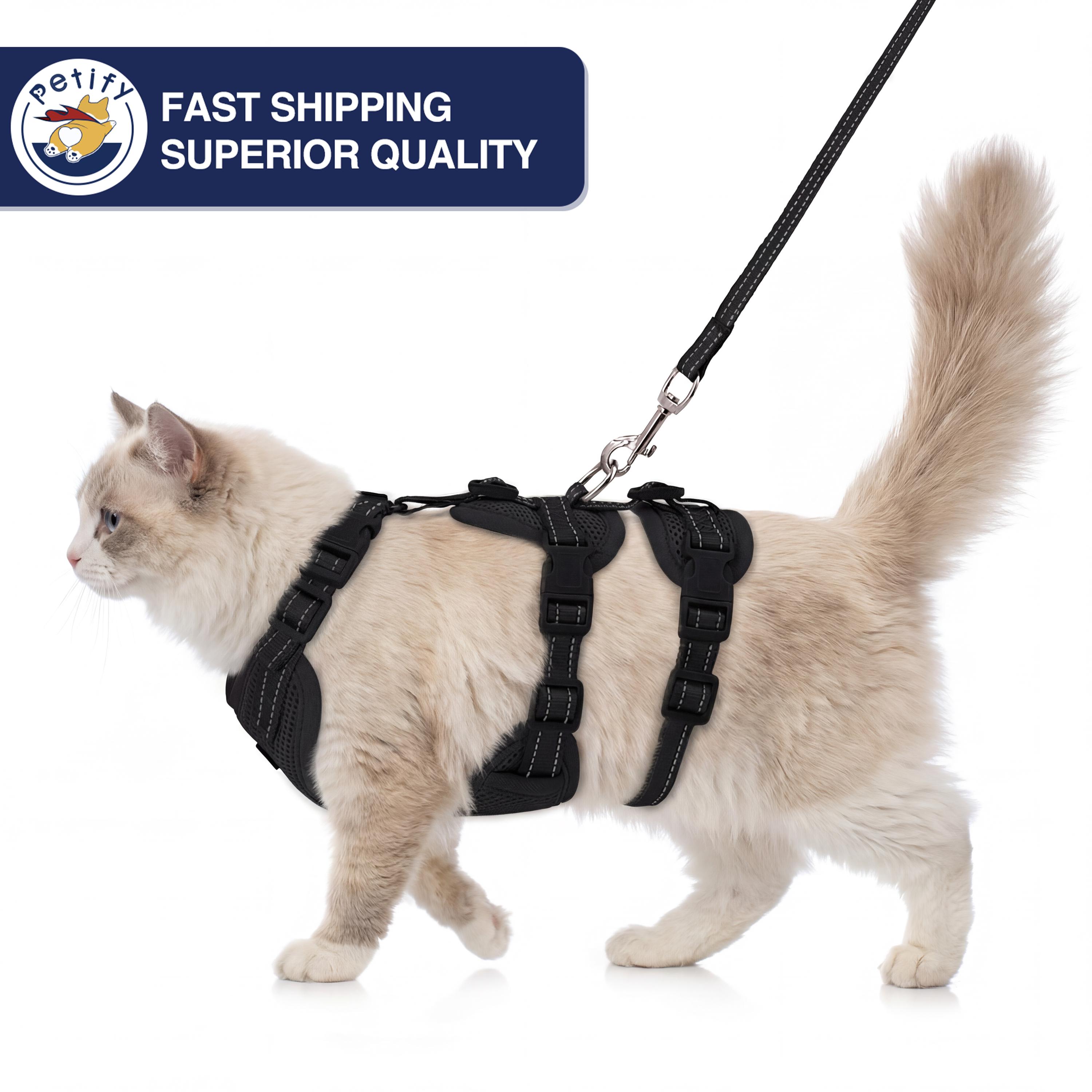 Escape Proof Cat Harness and Leash – Adjustable Kitten Vest, Soft Mesh ...