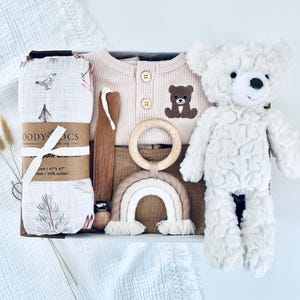 Teddy Bear Baby Gift, Baby Boy Newborn Gift, Gender Neutral Baby Gift, Teddy Bear Themed Baby Gift, Personalized Baby Gift