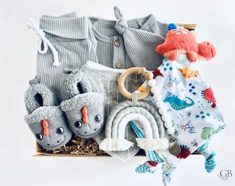 Gift For New Baby Boy, Dinosaur Gift For Baby, Personalized Dinosaur Blanket, Dinosaur Themed Baby Shower Gift, Baby Boy Gift Basket