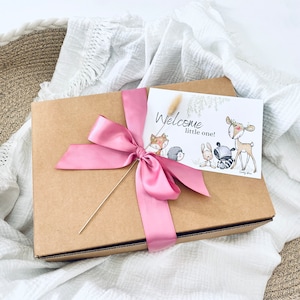 Baby Gift, Gift For Newborn Baby Girl, Gift For New Mom, Baby Shower Gift, Baby Shower Gift Basket image 6