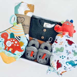 Baby-Geschenk-Set für Jungen, besticktes Dinosaurier-Themen-Babygeschenk, Dinosaurier-Baby-Geschenkkorb, Geschenk für Neugeborenen Jungen, personalisiertes Baby-Geschenk n