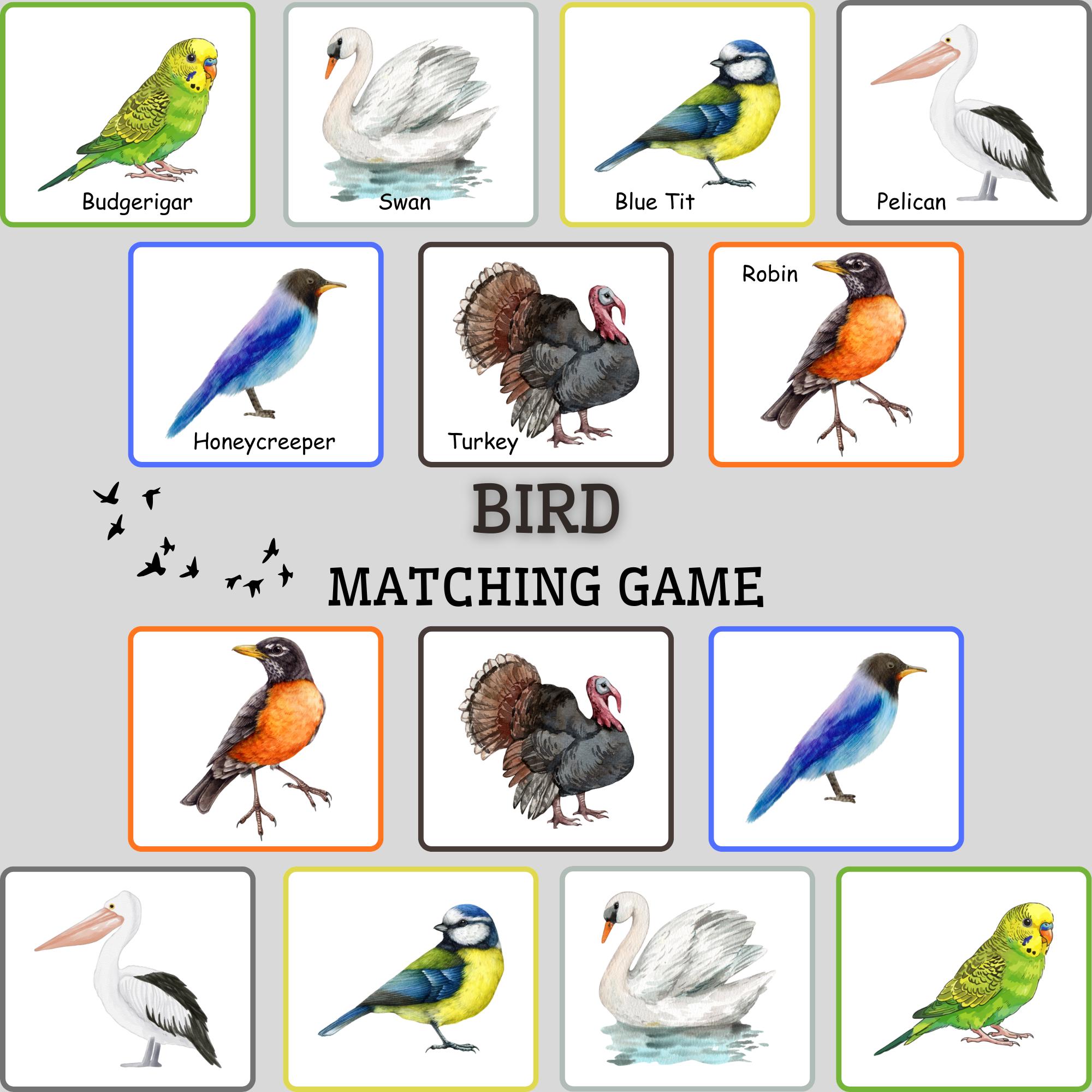 Bird Matching Cards Printable PDF | Preschool Learning Game for Kids - Etsy