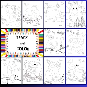Trace and Color Worksheets for Kids | 20 Printable Fine Motor Pages for Preschool & Kindergarten
