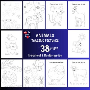 Imágenes de animales para trazar y colorear en preescolar/preescritura