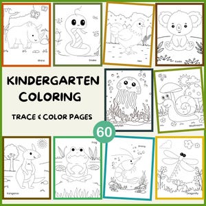 Kindergarten Coloring Pages with Tracing | 60 Animal, Insect & Nature Printable Worksheets | Fine Motor Fun for Kids