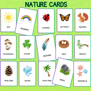 Nature Study Flashcards for Toddlers and Preschoolers | Montessori Nomenclature Cards | Printable Learning Set