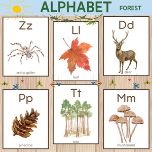 Printable Forest Alphabet Flash Cards for Kids | ABC Learning Cards | Preschool Educational Resource | Nature Theme