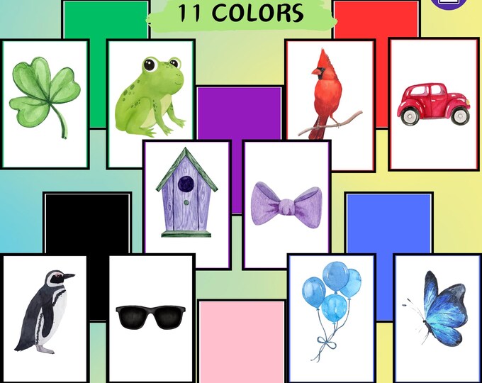 Color Sorting Activity,preschool Color Matching Game,montessori Color ...