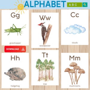 Fichas sobre la naturaleza: tarjetas con el alfabeto ABC y materiales de estudio sobre la naturaleza Montessori para niños en el hogar