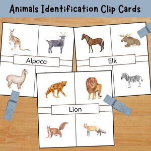 Animal Identification Cards - Printable Clip Cards for Preschool Learning & Homeschool Education Activities