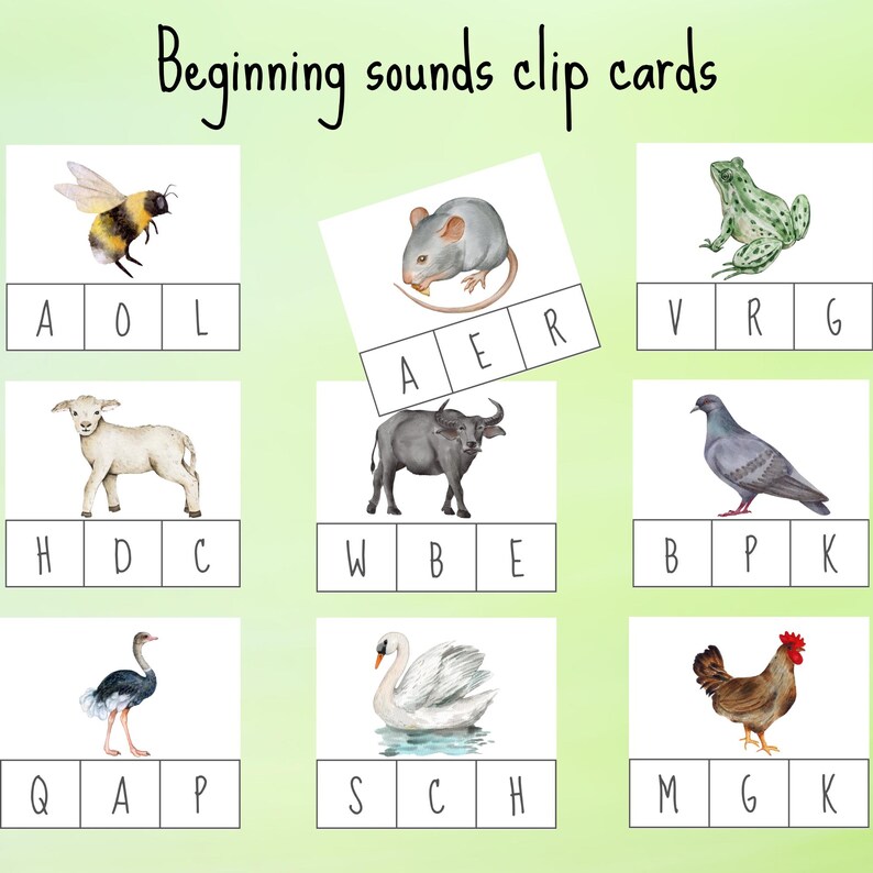 Montessori Animals Flashcards Bundle - Spanish Farm Animal 3-part Cards ...