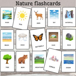 Printable Nature Flashcards for Kids | Early Learning Vocabulary Cards | Homeschool Resources