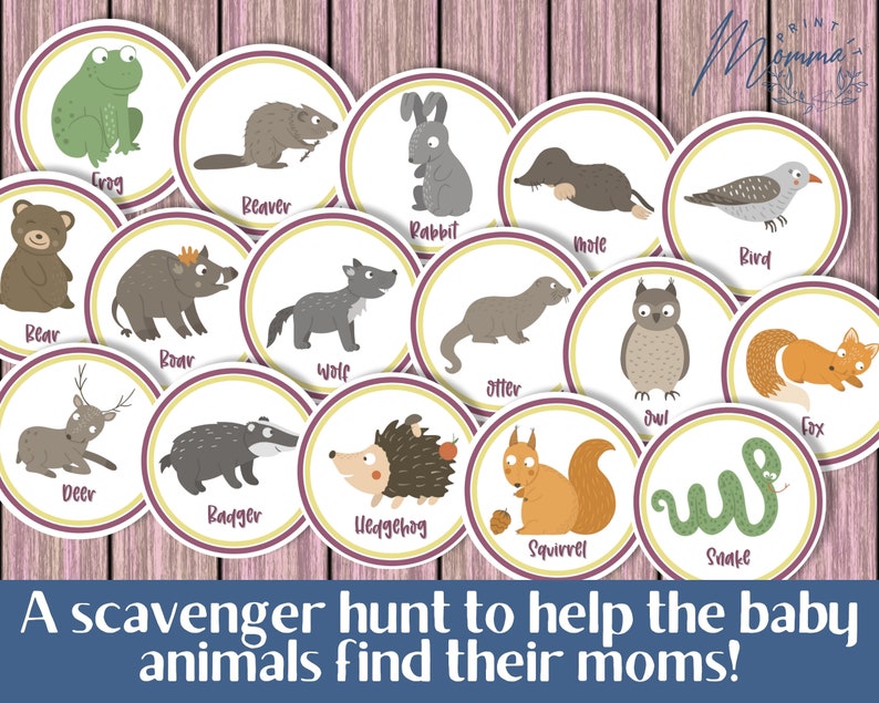 May include: A set of 12 colorful illustrated animal circles with the names of the animals written below each image. The animals include a frog, beaver, rabbit, mole, bird, bear, boar, wolf, otter, deer, badger, hedgehog, squirrel, snake, and fox. The text "A scavenger hunt to help the baby animals find their moms!" is written below the circles.