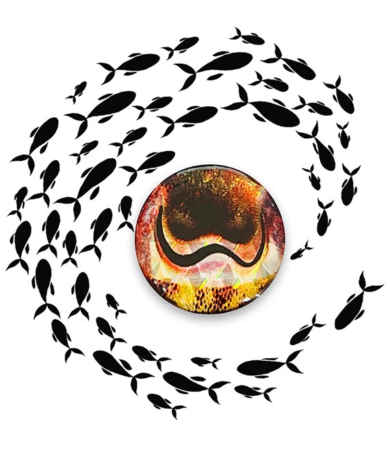 brown fish lure eyes 3D adhesive eyes for fishing lures, Color: Cuttlefish Brown